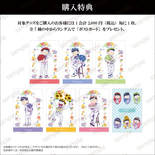 �ڤ���������ۥǥե���������̥Хå� ��6�Blooming Flower ver.