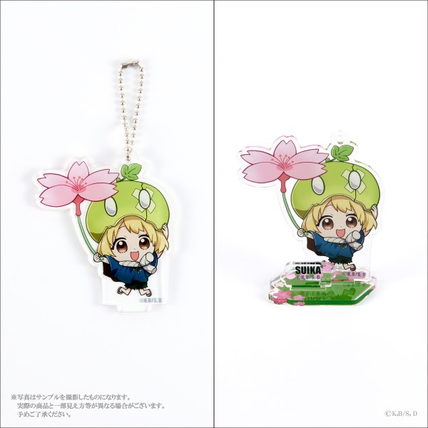 TV˥֣ģ򡥣ӣԣϣΣšס 륹ɥۥ12