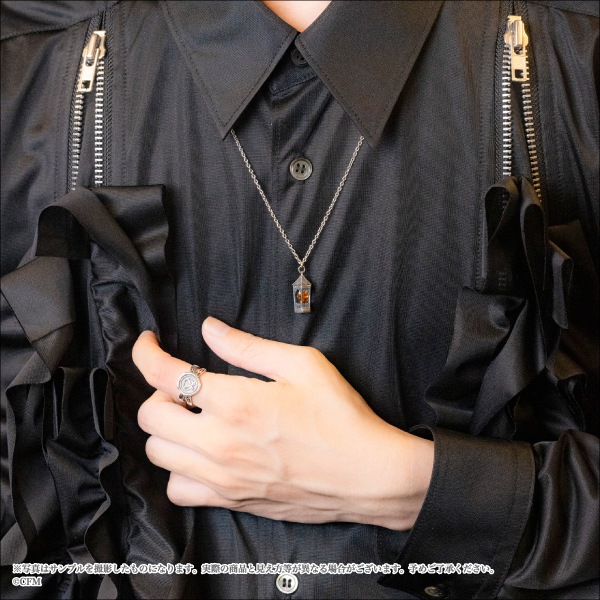 �ڽ鲻�ߥ���Hotel Revenocturne�סۡ�������������եڥ�����