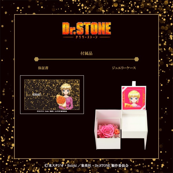 TV˥֣ģ򡥣ӣԣϣΣšס 㥳ϥ䥭饯ե&奨꡼