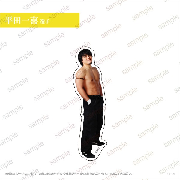 DDTץ쥹ۥåȥƥå9