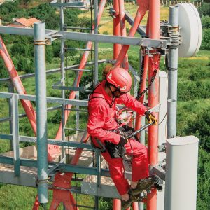 CAMP GT FIXEWポジショニングセット（街路樹剪定士対策セット）