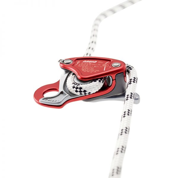 ドｳルイド　Druid