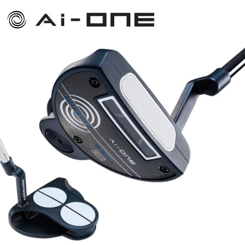 ���ܻ��� ���ǥå��� Ai-ONE 2-BALL CH �ѥ��� ����������� 2�ܡ���CH ����󥯥ۡ�����