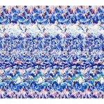 Tempalay / ȥХ-̾-(CD)