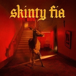 FONTAINES D.C. / SKINTY FIA(CD)