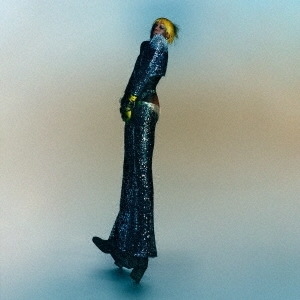 YVES TUMOR / ץ쥤ɡա塼ХåȡåΥåȡ󥷥塼(ץ꡼ۥåȡӥȥ󡦥륺) (CD)