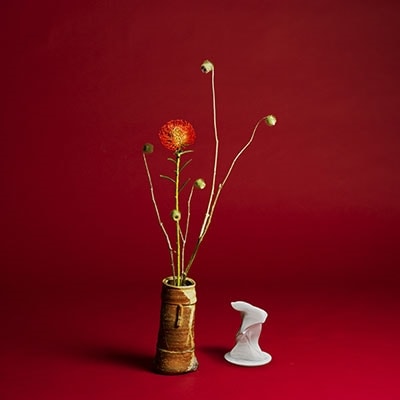 Seiho / Collapse(CD)