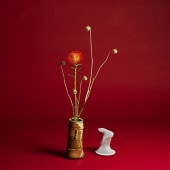 Seiho / Collapse(CD)