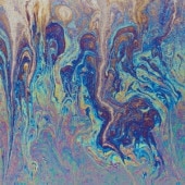 FLOATING POINTS / Crush<�̾���>(CD)