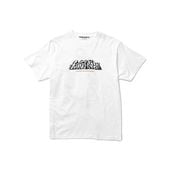 FUJI ROCK FESTIVAL 25  BEAMS : FUJI and ROCKS