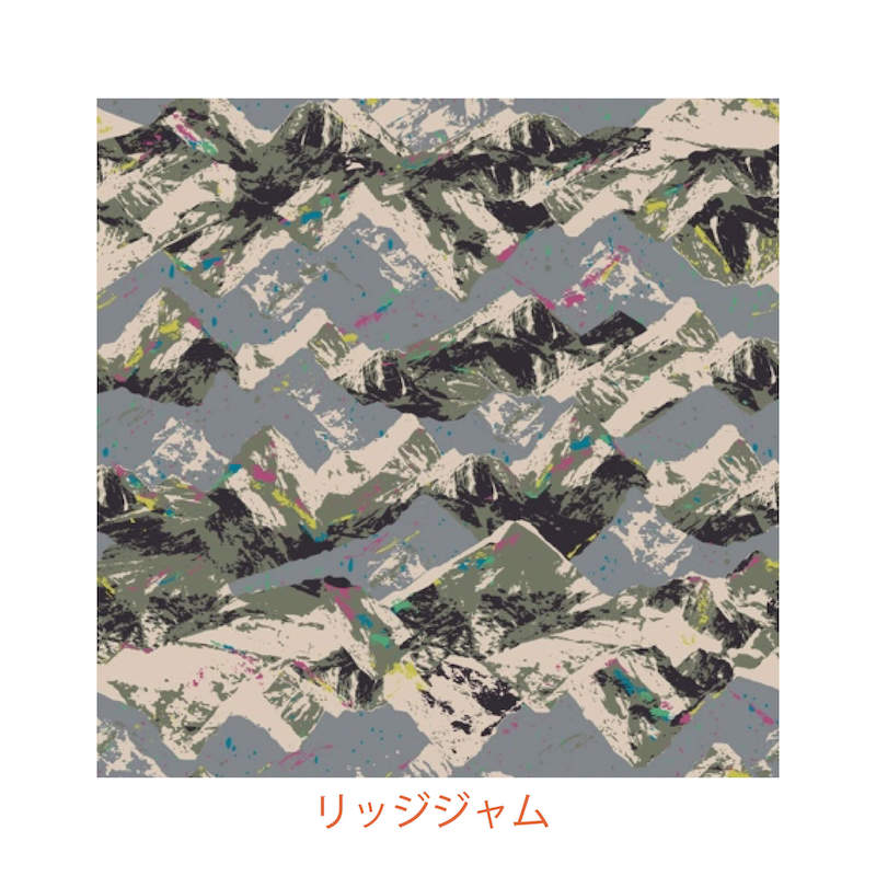 FUJIROCK �ե���ȥݥ��åȥߥ˥��������Хå�