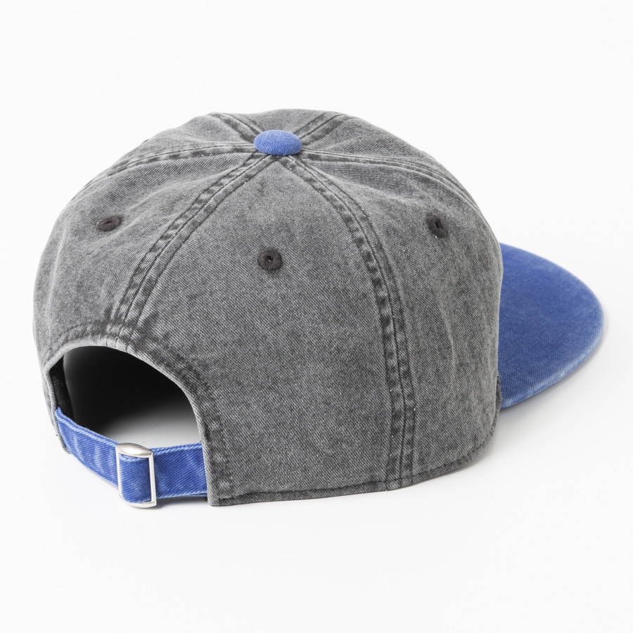 FUJI ROCK CAP