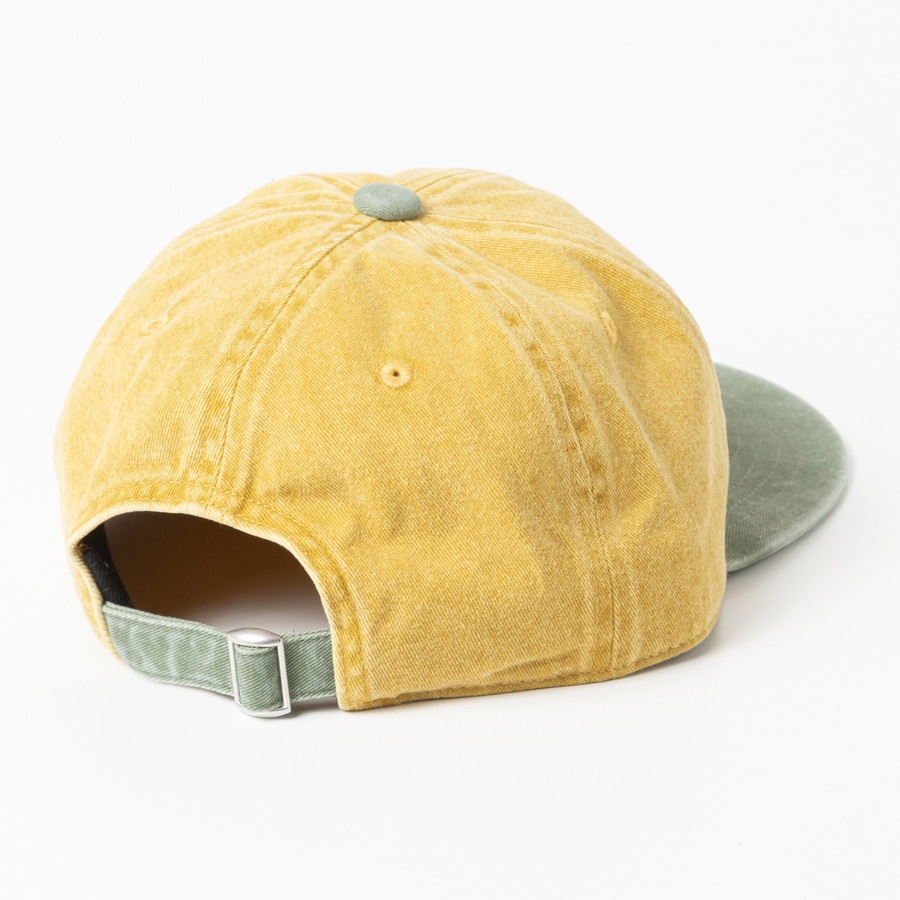 FUJI ROCK CAP