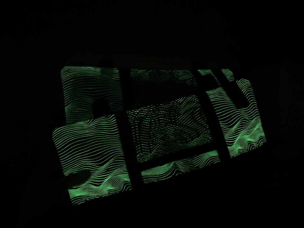 FUJI ROCK '25 ե쥯ݡ