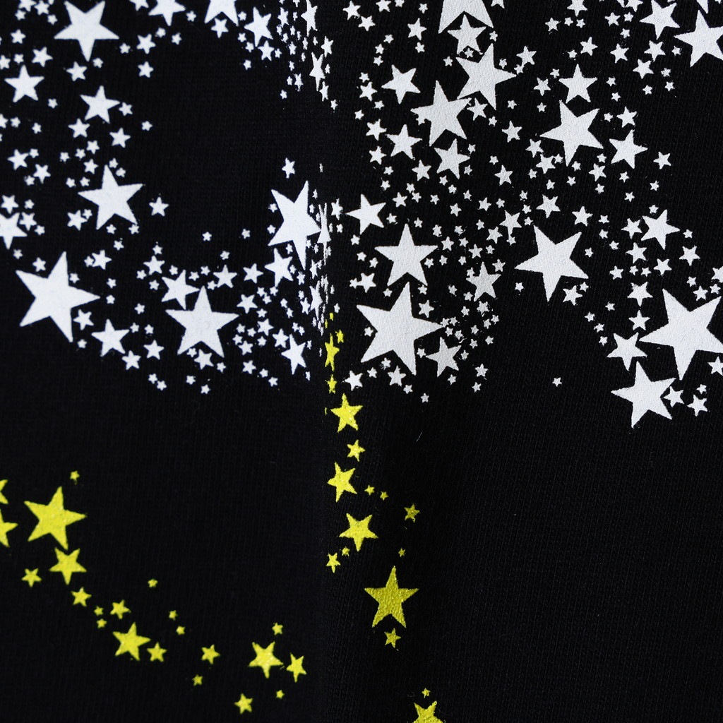 FUJI ROCK FESTIVAL��26 �� BEAMS ROCK STAR TEE