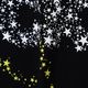 FUJI ROCK FESTIVAL��26 �� BEAMS ROCK STAR TEE