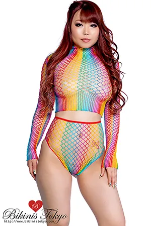 レインボーカラーネットセットアップ