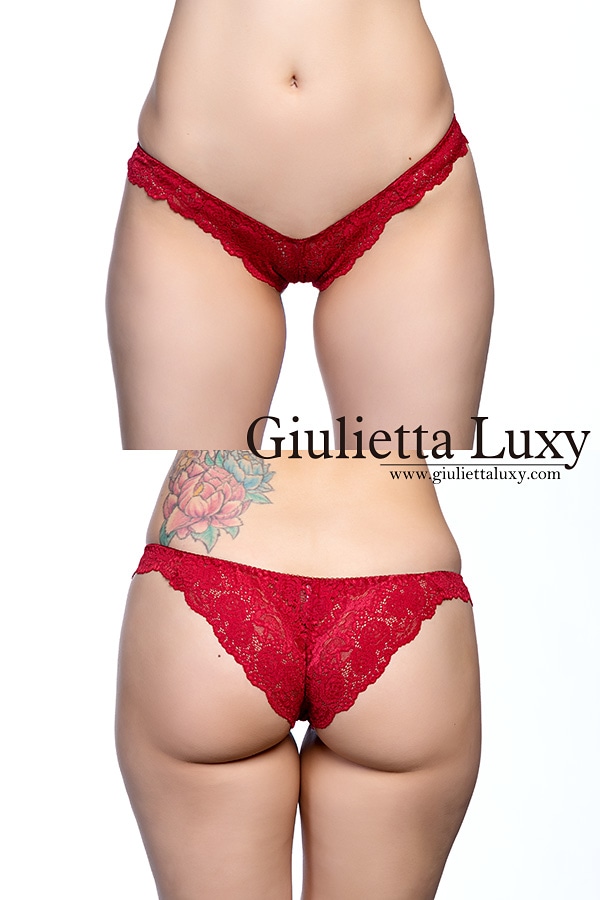 総レースハーフバックショーツ・ワイン