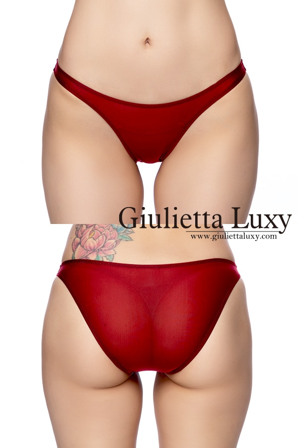 【ユニセックス】クラシックカラーシースルーフルバックショーツ・ワイン