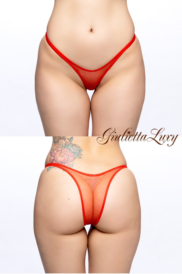 スケスケチュール素材ハイレグショーツ・レッド