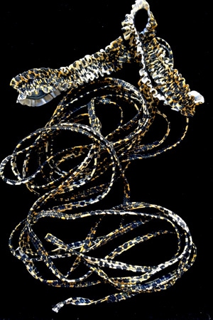 ガーター付き   レッグロープ2本セット・レオパード