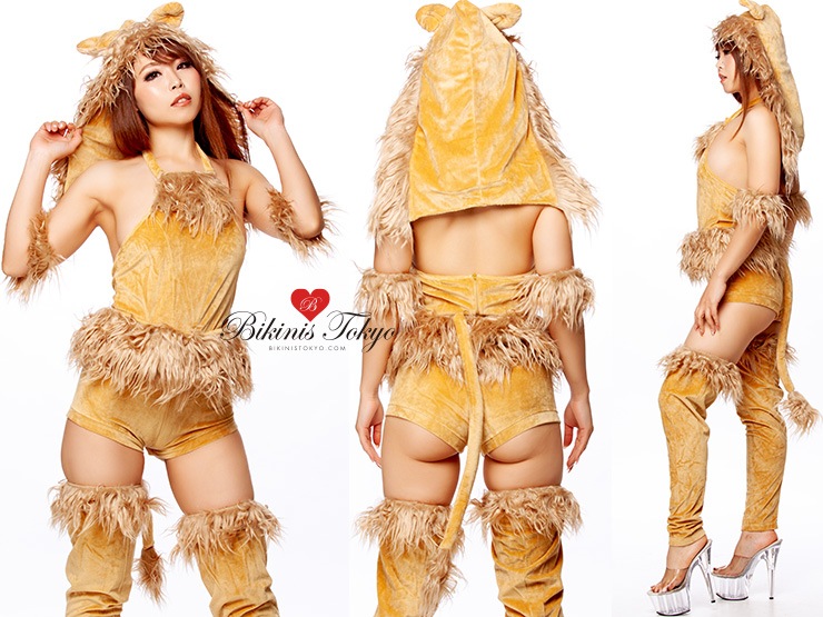 ライオンコスチュームセット