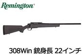 ե 1 308 Win 22