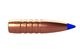 �С��� TTSX 6mm 80gr 50�� Ƽ��