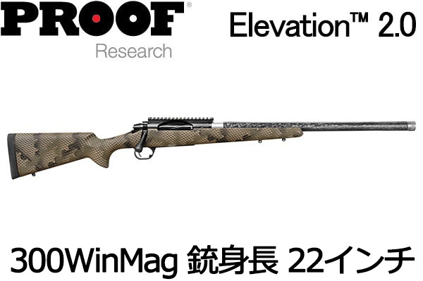 �ڿ����ۥץ롼�� ����١������ 2.0 300WinMag 22����� (TFDE)