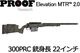 �ڿ����ۥץ롼�� ����١������MTR 2.0 300PRC 22����� (TFDE)