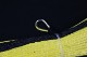 ���󥻥ƥ��å������� �������� 4.0mm �� 50�� 1020kg
