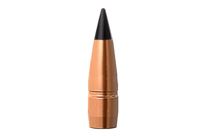 �С��� TAC TX 30cal 120gr 50������ Ƽ��