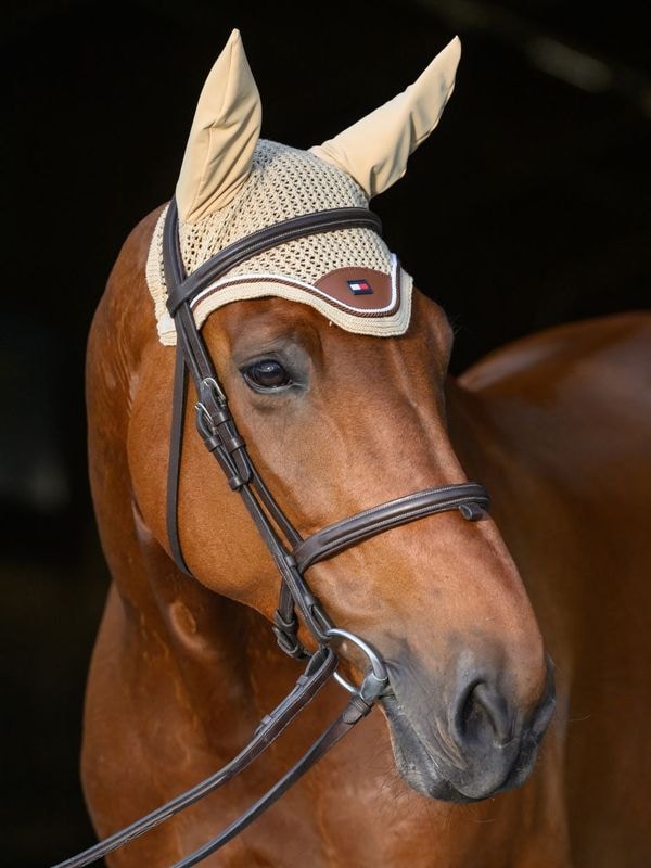 Tommy Hilfiger�ץ�󥹥ȥ� ���䡼�ͥå�