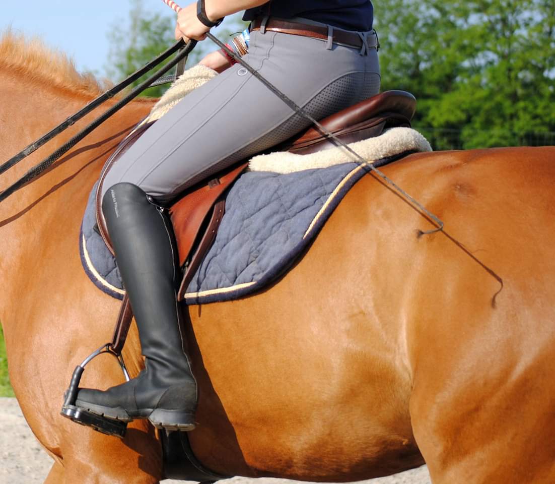 ALBERTO FASCIANI ��С��֡��ġ��ʥ���Pedaso�ˡ��֥�å�