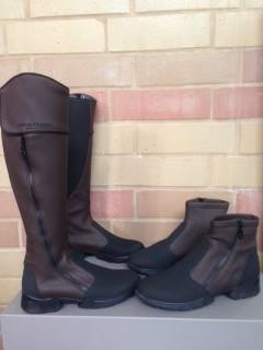 ALBERTO FASCIANI ��С��֡��ġ��ʥ���103�ˡ��֥饦�󢨿�������ʬ��