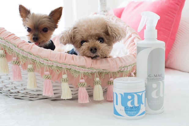 G-MAQ ޥå ý Super 190ml