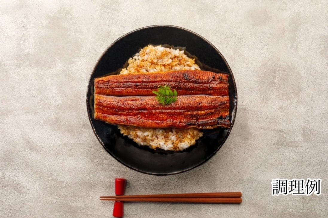 真空冷凍かば焼き―5尾―（中サイズ）