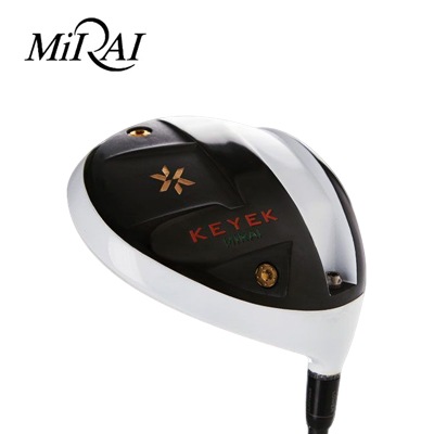 地クラブ系ヘッド MIRAI MK-04 MODEL アイアン (4層メッキ) IRON HEAD #5-#PW ミライ ミライゴルフ「MIRAI KEYEK アイアン」×ダイナミックゴールドシャフト