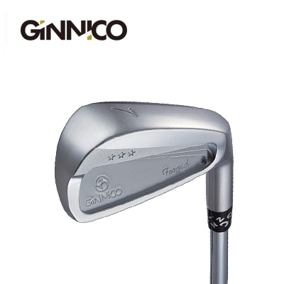 120 スポーツ 【イオンスポーツ GINNICO ジニコ PC アイアン 6-AW 6本