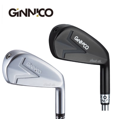 イオンスポーツ ジニコ ドライバーヘッド ジニコ GiNNiCO イオンスポーツ ドライバーヘッド 【当店は安心の正規