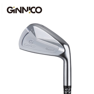 6本セット / イオンスポーツ ジニコ GINNICO CB+ Iron #5-P ＃6-A 番手