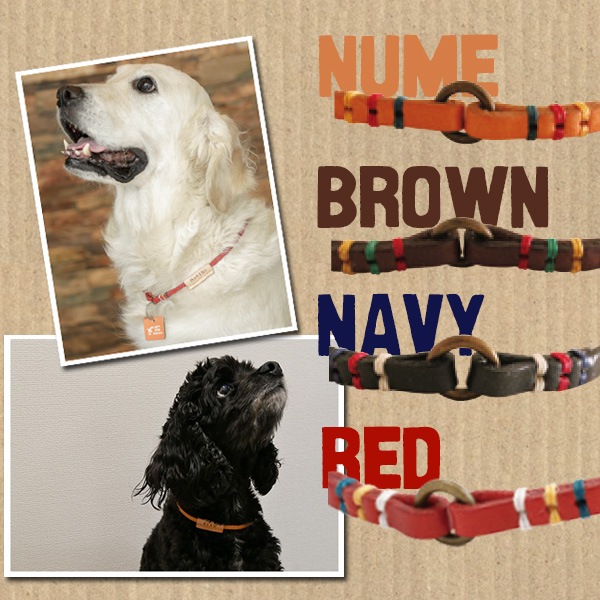 うちの子ファッションチョーカー