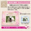「ありがとう 絵本」お仕立て券（わんこorにゃんこ）