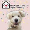 被災犬応援プロジェクト