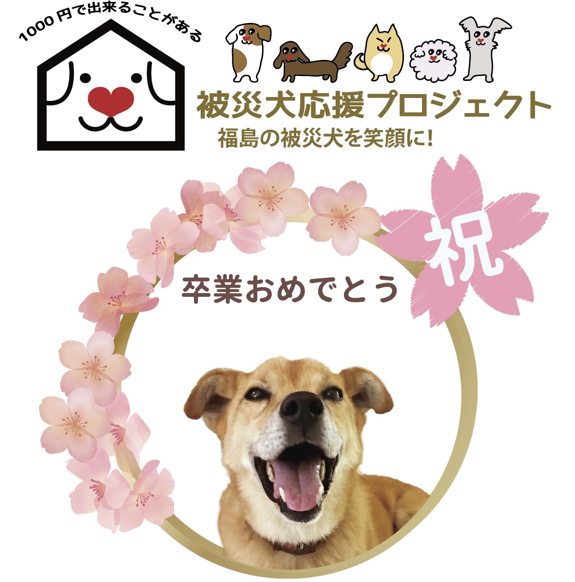 被災犬応援プロジェクト