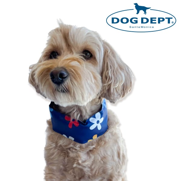 DOGDEPT ジェルクールネック