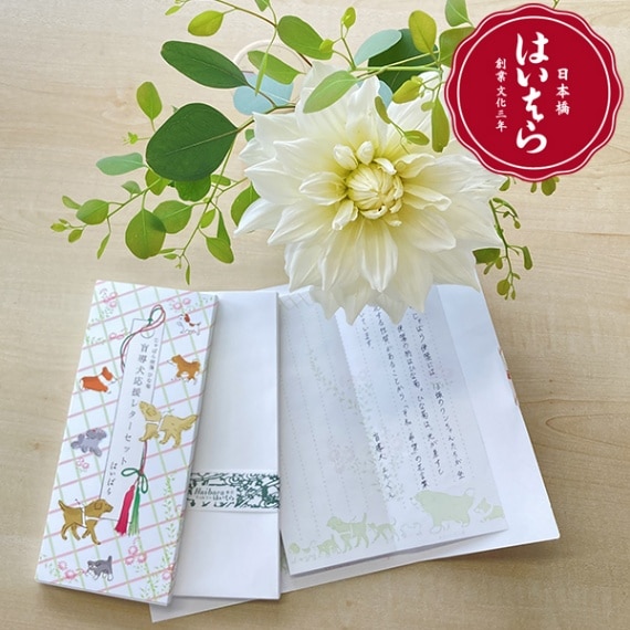【在庫限り】じゃばら便箋レターセット【ひな菊】
