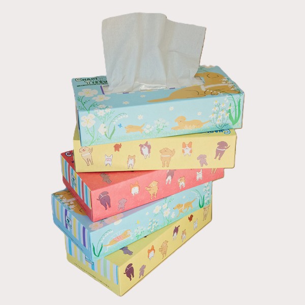 チャリティッシュ【5箱】150組