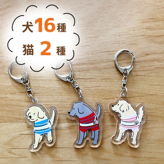 【CB特価】アクリルキーホルダー【盲導犬サポーターDOGS】
